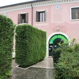 Ferri Padova
